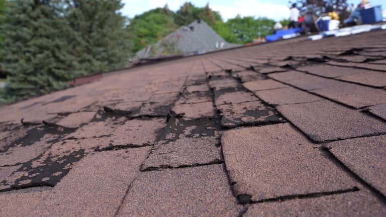 Best Rubber Roofing (EPDM, TPO)  in Manor, PA