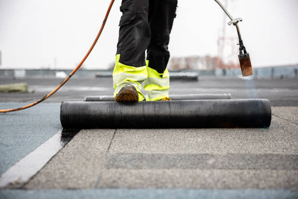 Best Roof Moss and Algae Removal  in Manor, PA